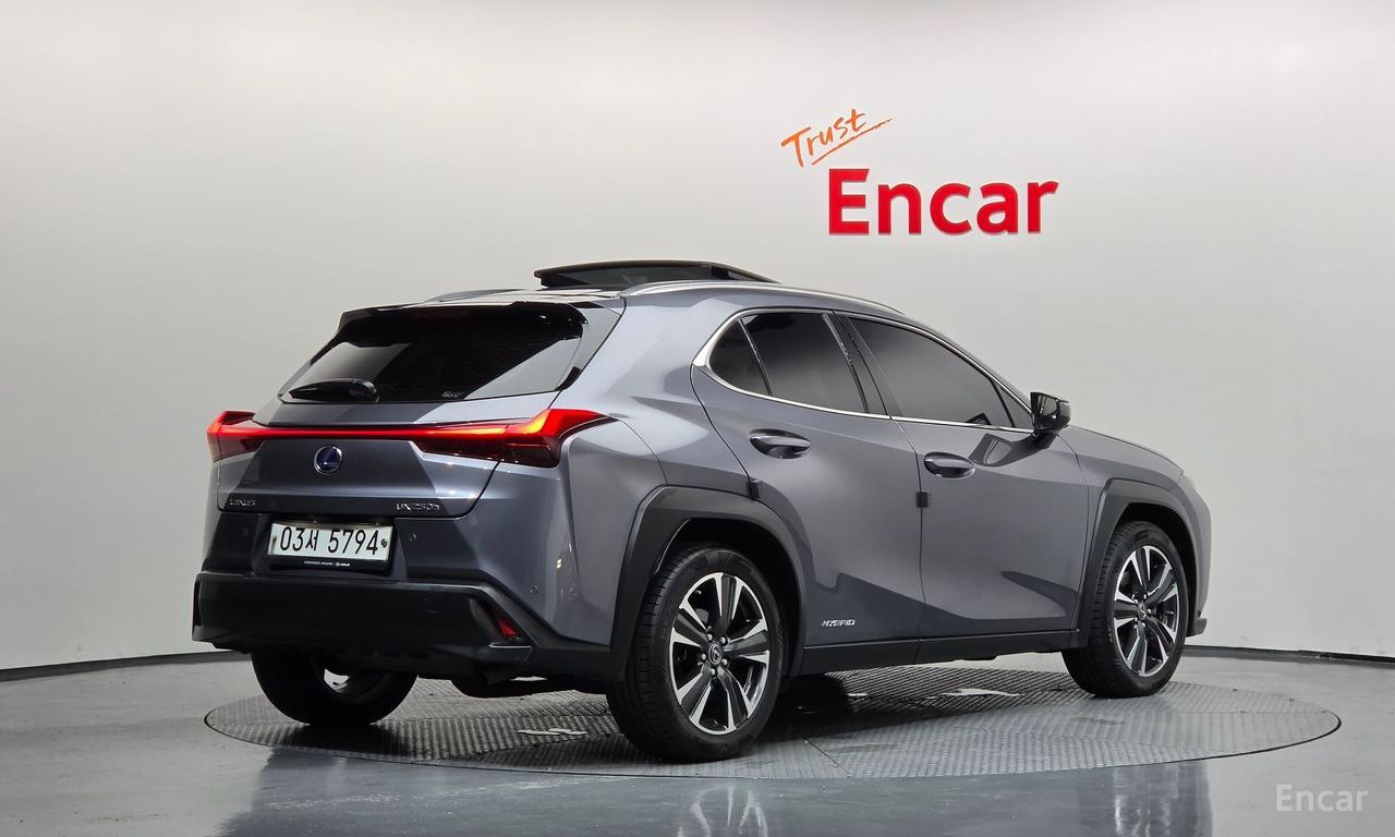Lexus UX250h 2.0 AWD 2019