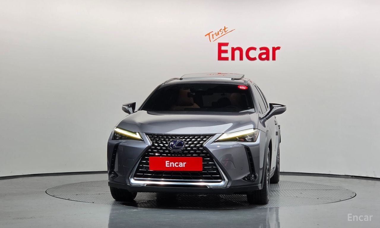 Lexus UX250h 2.0 AWD 2019
