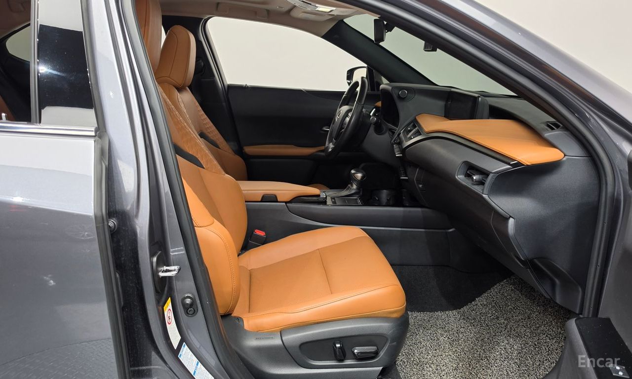 Lexus UX250h 2.0 AWD 2019
