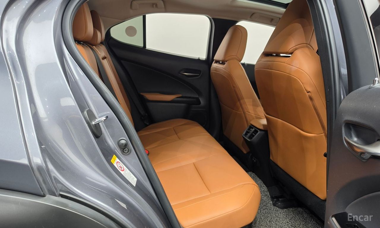 Lexus UX250h 2.0 AWD 2019