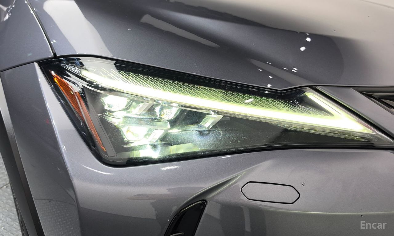Lexus UX250h 2.0 AWD 2019
