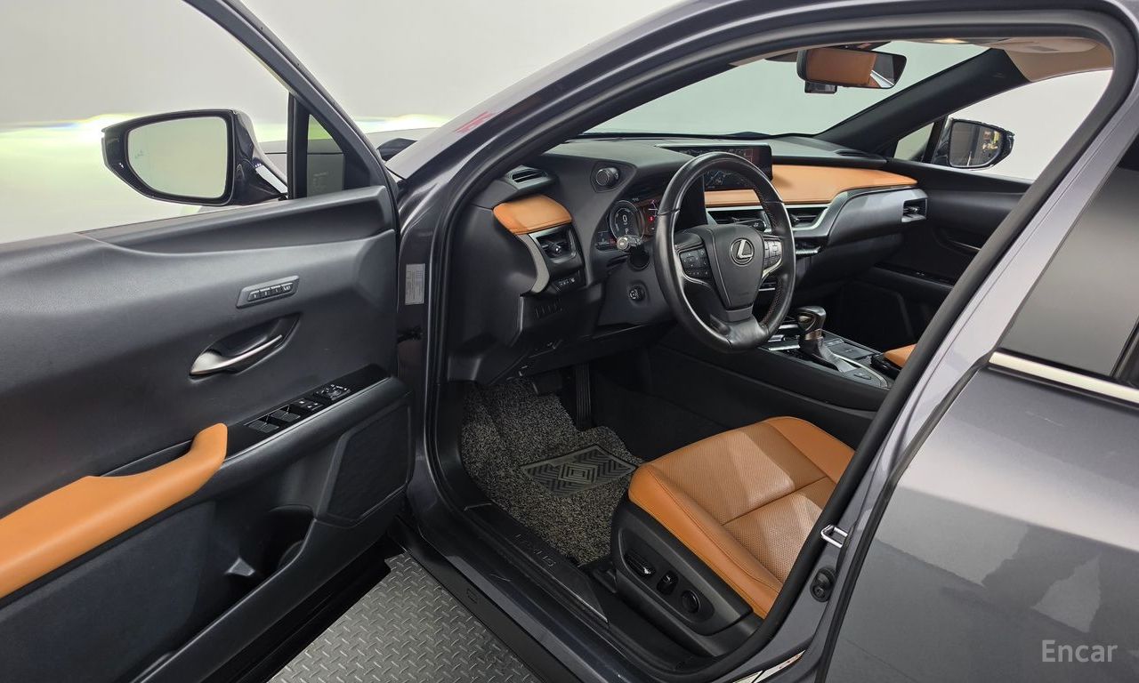 Lexus UX250h 2.0 AWD 2019