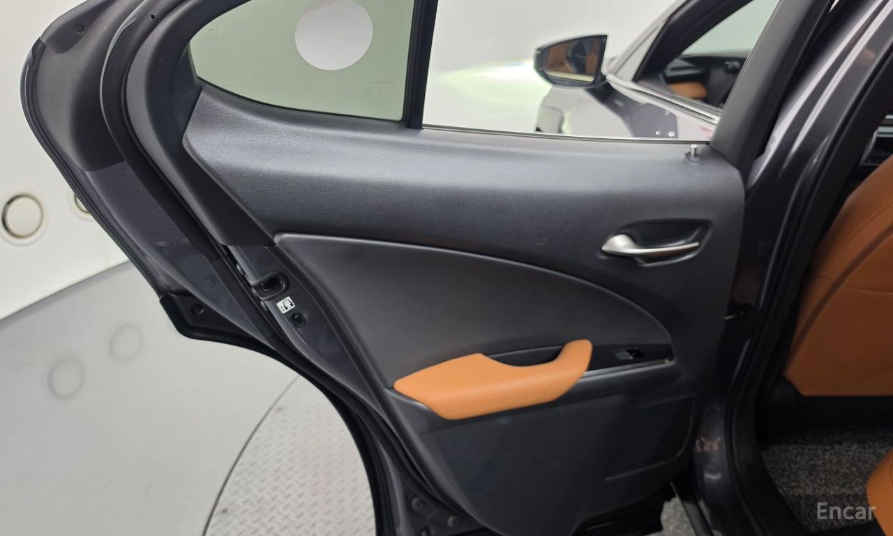 Lexus UX250h 2.0 AWD 2019