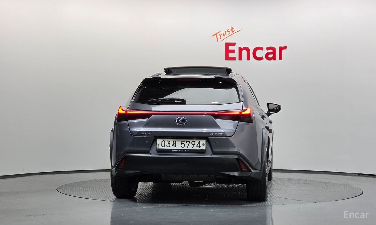 Lexus UX250h 2.0 AWD 2019