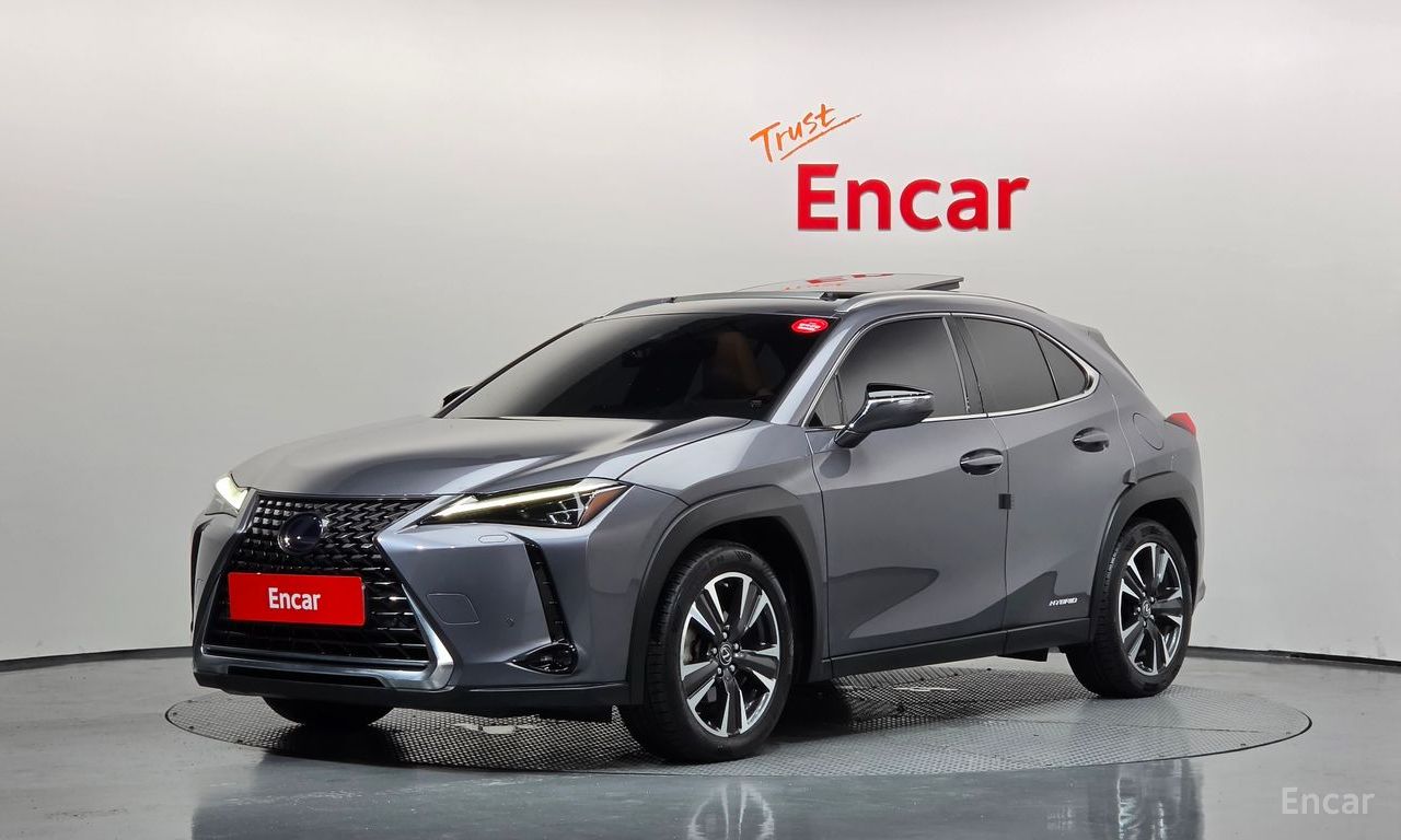 Lexus UX250h 2.0 AWD 2019