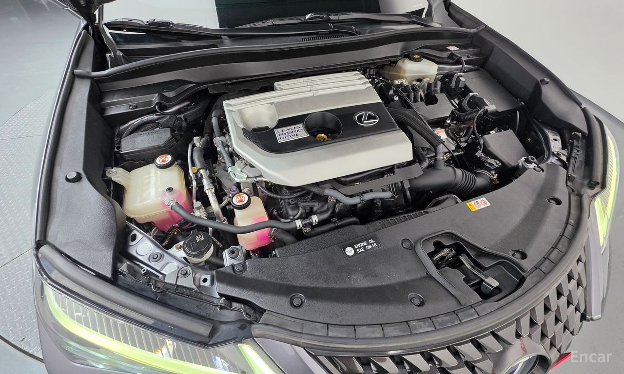 Lexus UX250h 2.0 AWD 2019