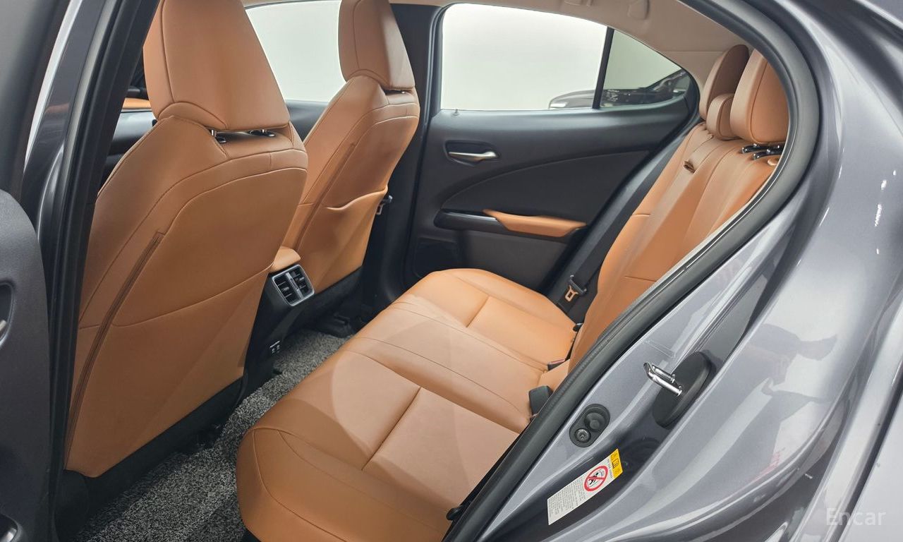 Lexus UX250h 2.0 AWD 2019