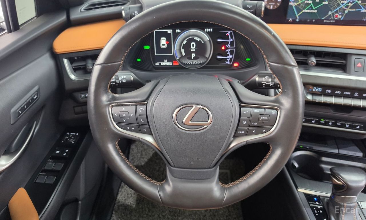 Lexus UX250h 2.0 AWD 2019