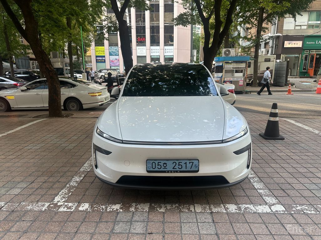 Tesla Model Y Long Range AWD 2025
