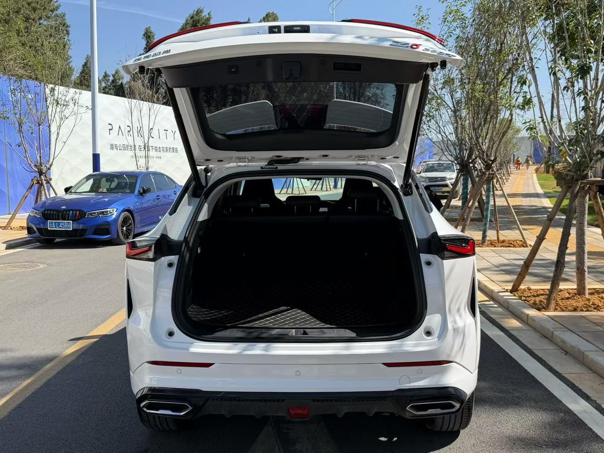 Changan Oshan Z6 2023 Blue Whale 1.5T DCT Smart Cruise