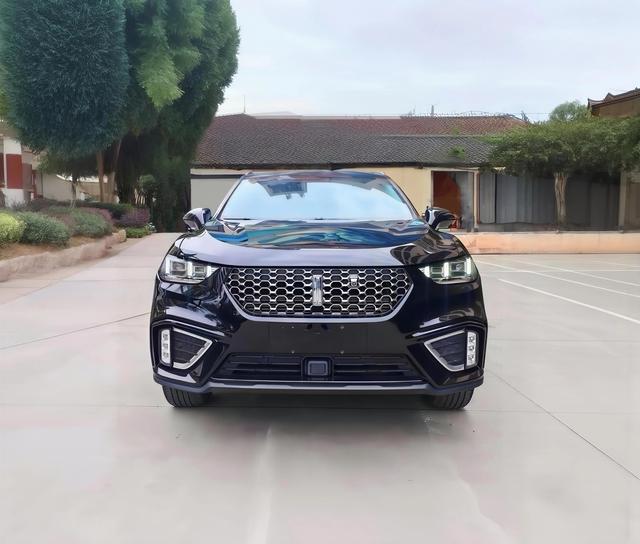 WEY VV5 2020 1.5T Trend Pioneer
