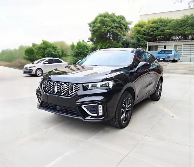 WEY VV5 2020 1.5T Trend Pioneer