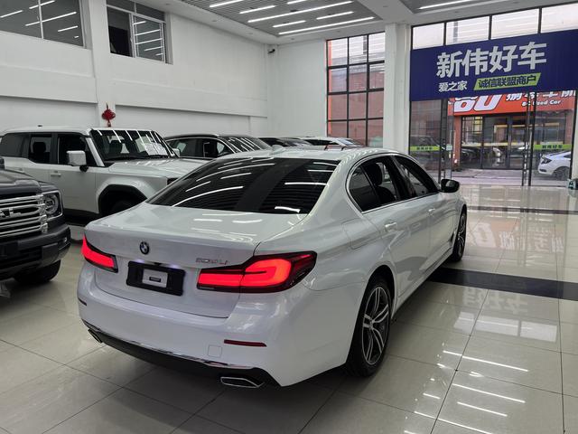 BMW 5 Series 2021 530Li Leading Luxury Package