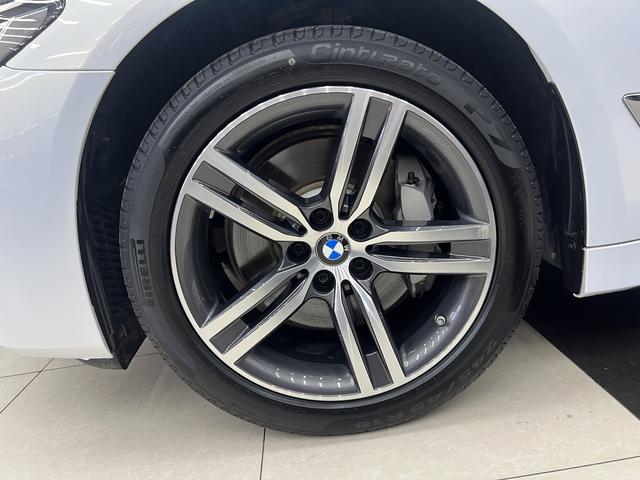 BMW 5 Series 2021 530Li Leading Luxury Package