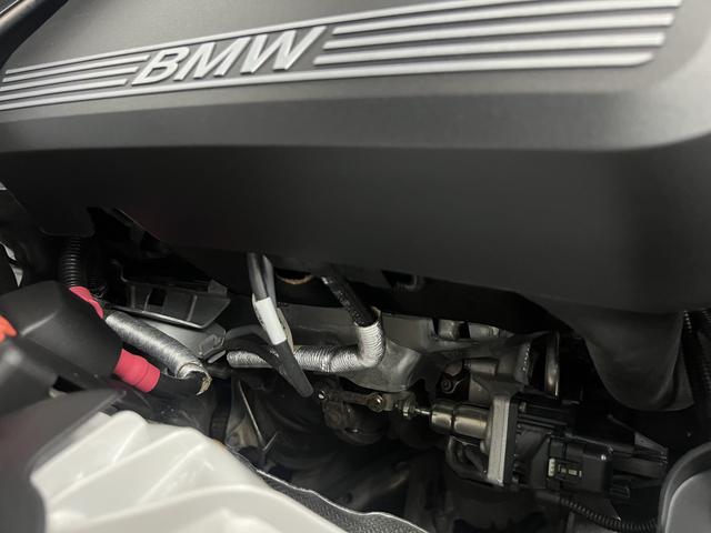 BMW 5 Series 2021 530Li Leading Luxury Package