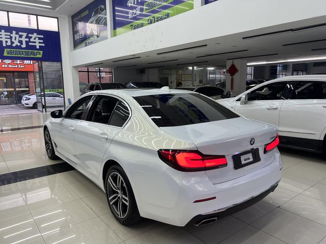 BMW 5 Series 2021 530Li Leading Luxury Package