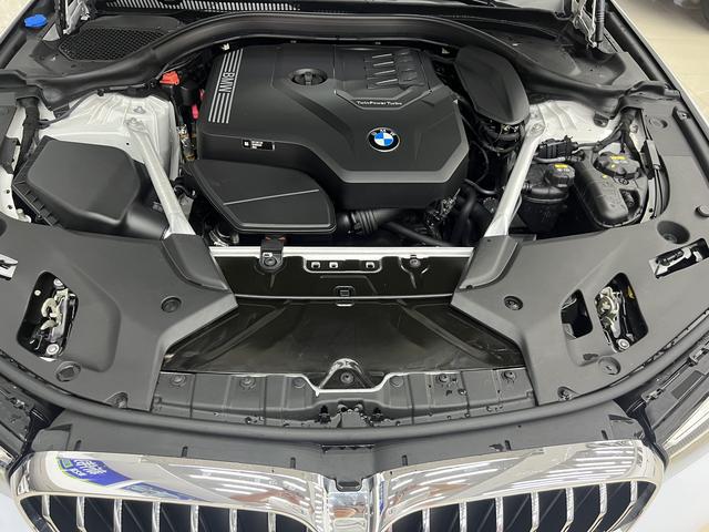 BMW 5 Series 2021 530Li Leading Luxury Package