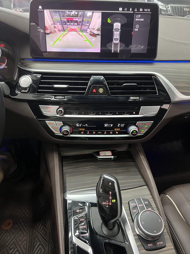 BMW 5 Series 2021 530Li Leading Luxury Package