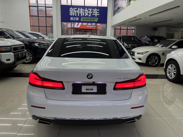 BMW 5 Series 2021 530Li Leading Luxury Package