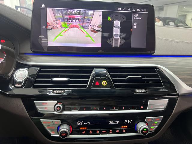 BMW 5 Series 2021 530Li Leading Luxury Package