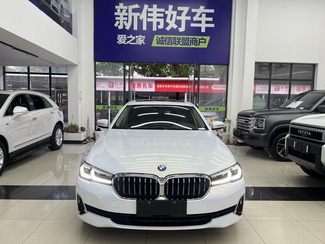 BMW 5 Series 2021 530Li Leading Luxury Package