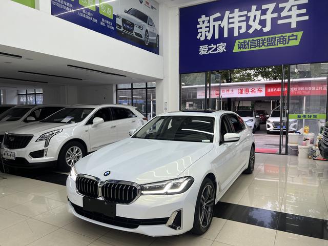 BMW 5 Series 2021 530Li Leading Luxury Package