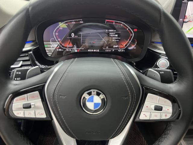 BMW 5 Series 2021 530Li Leading Luxury Package