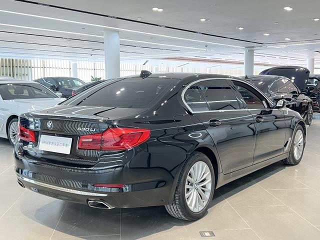 BMW 5 Series 2020 530Li Leading Luxury Package