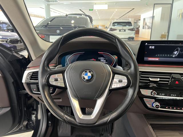 BMW 5 Series 2020 530Li Leading Luxury Package