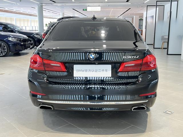 BMW 5 Series 2020 530Li Leading Luxury Package