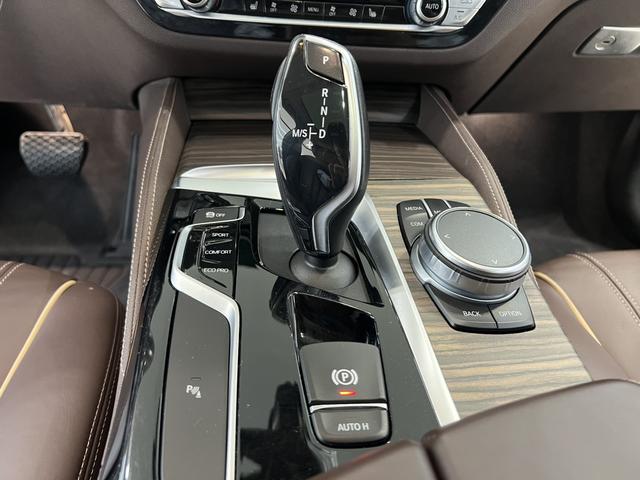 BMW 5 Series 2020 530Li Leading Luxury Package