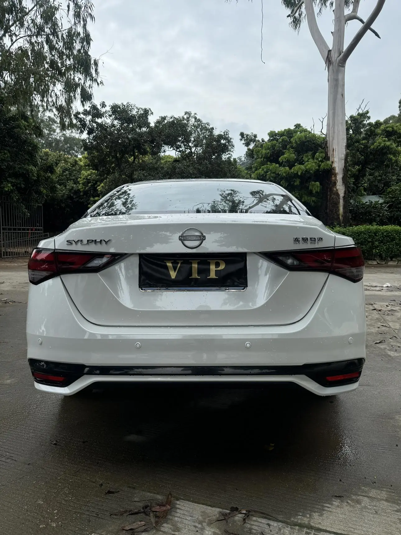 Nissan Sylphy 2023 1.6L CVT Comfort Plus
