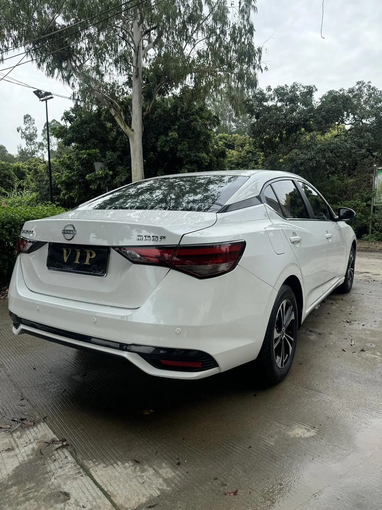 Nissan Sylphy 2023 1.6L CVT Comfort Plus