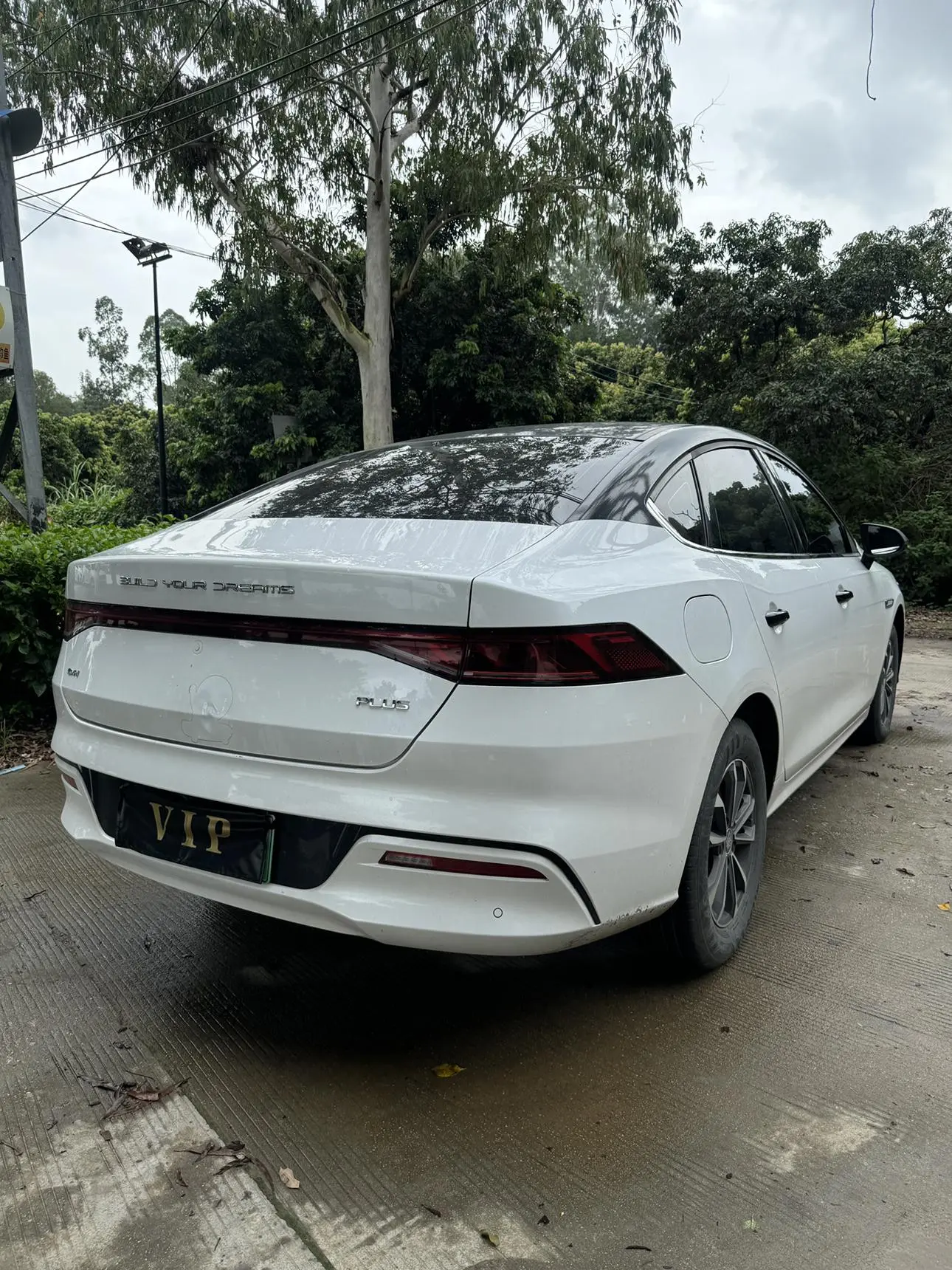 BYD Qin PLUS DM 2024 Glory DM-i 55KM Leading