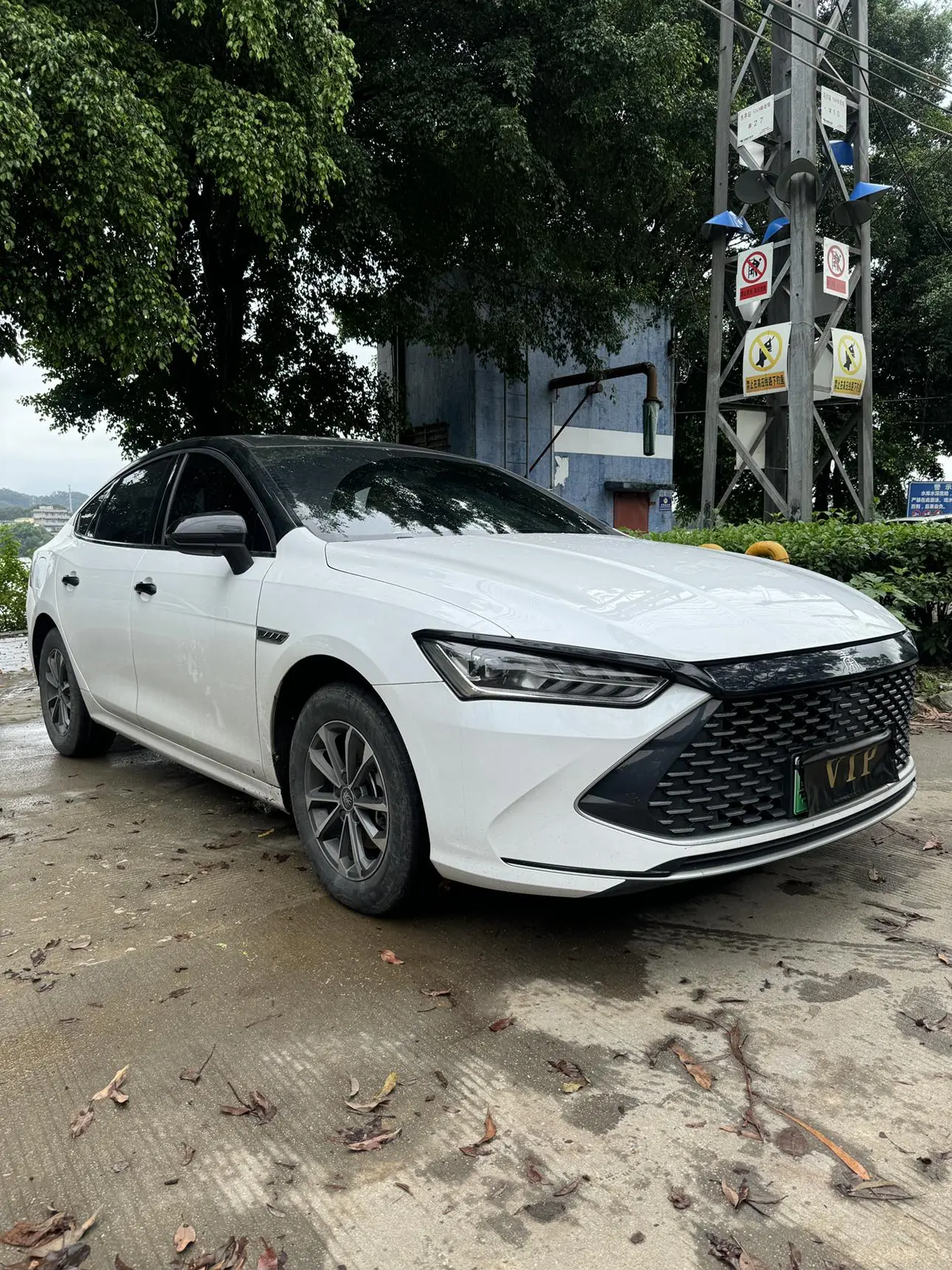 BYD Qin PLUS DM 2024 Glory DM-i 55KM Leading