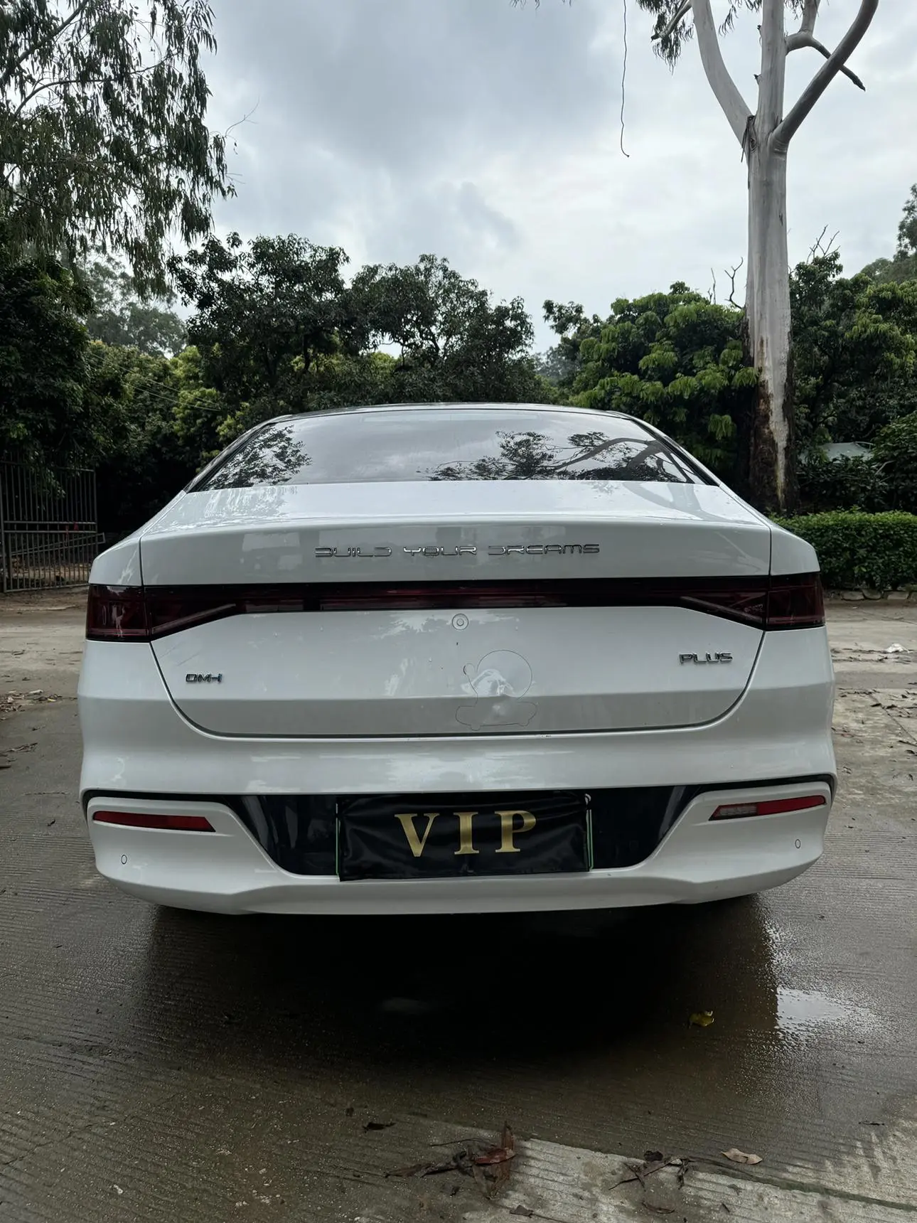 BYD Qin PLUS DM 2024 Glory DM-i 55KM Leading