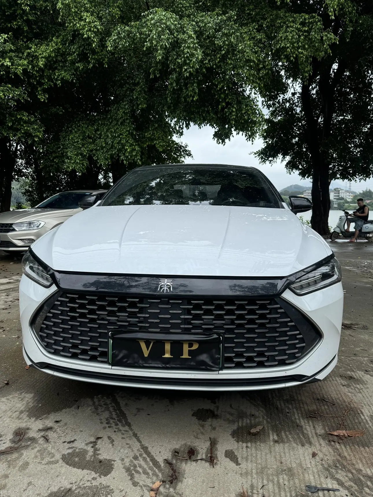 BYD Qin PLUS DM 2024 Glory DM-i 55KM Leading