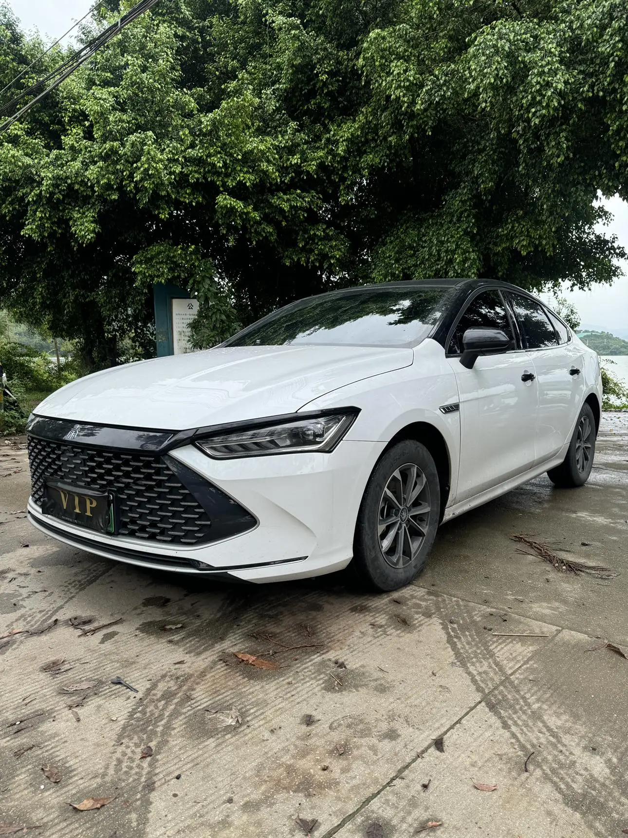 BYD Qin PLUS DM 2024 Glory DM-i 55KM Leading