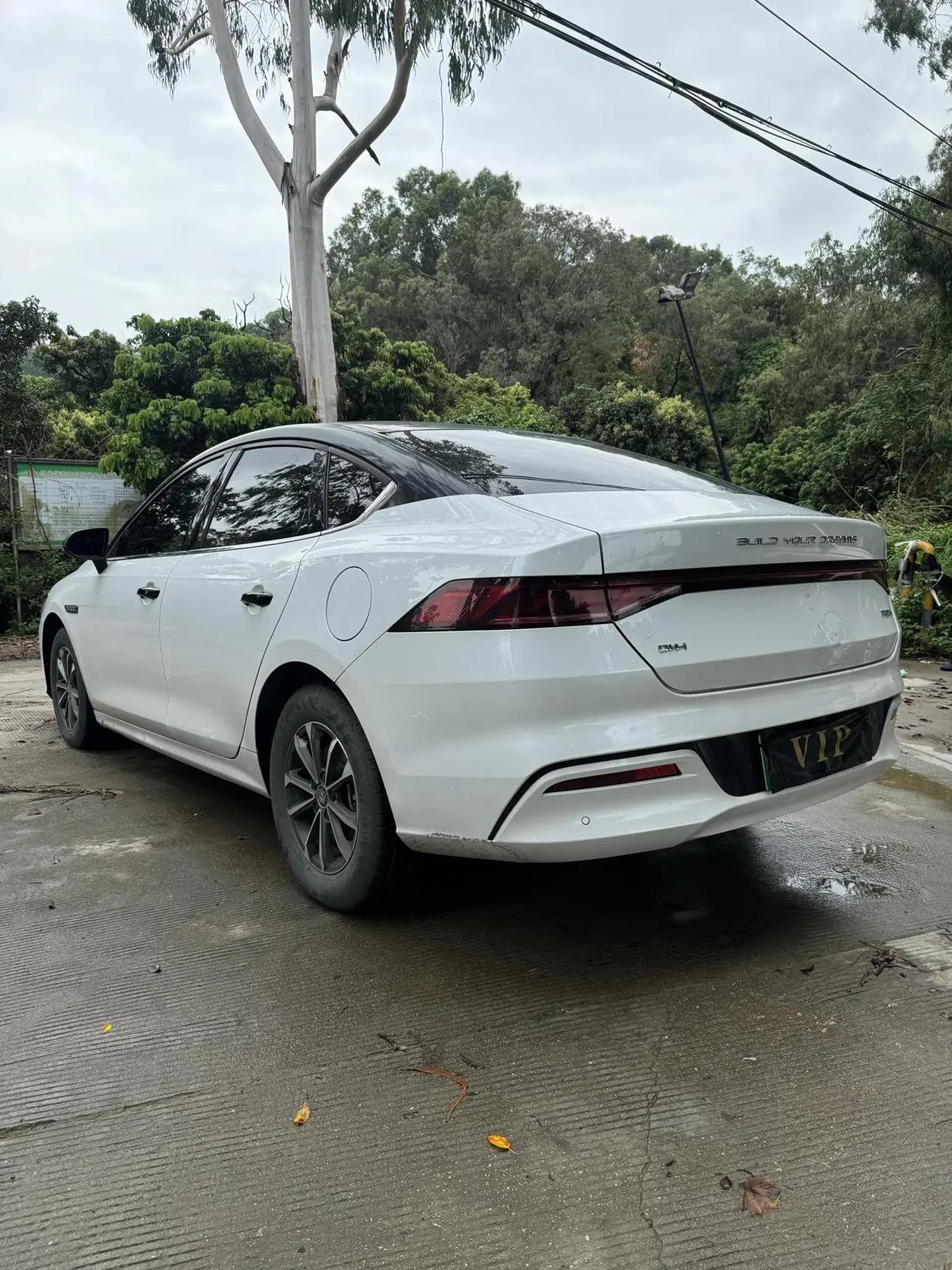 BYD Qin PLUS DM 2024 Glory DM-i 55KM Leading
