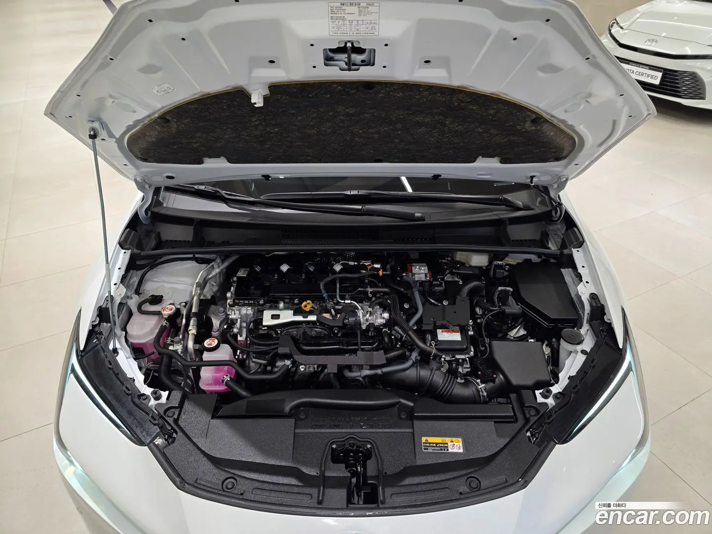 Toyota Prius 2.0 XLE 2023