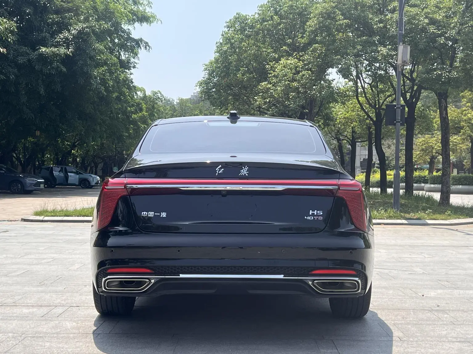 Hongqi H5 2024 2.0T Auto Smart Connected Qichang