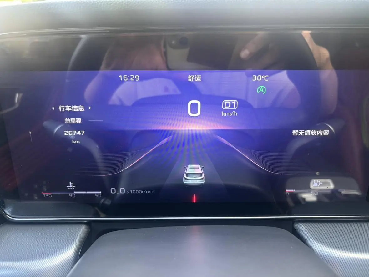 Hongqi HS5 2024 2.0T Flag Pro50 Units Commemorative