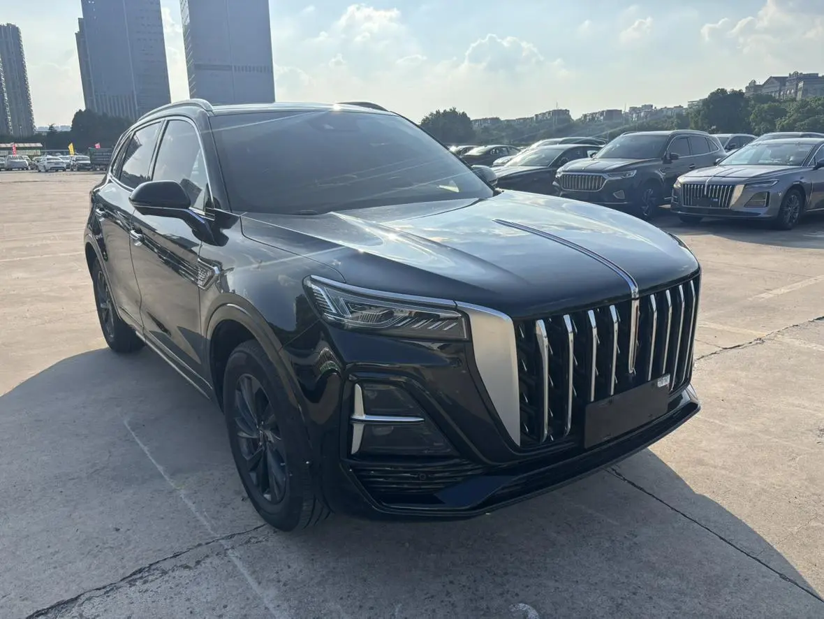 Hongqi HS5 2024 2.0T Flag Pro50 Units Commemorative