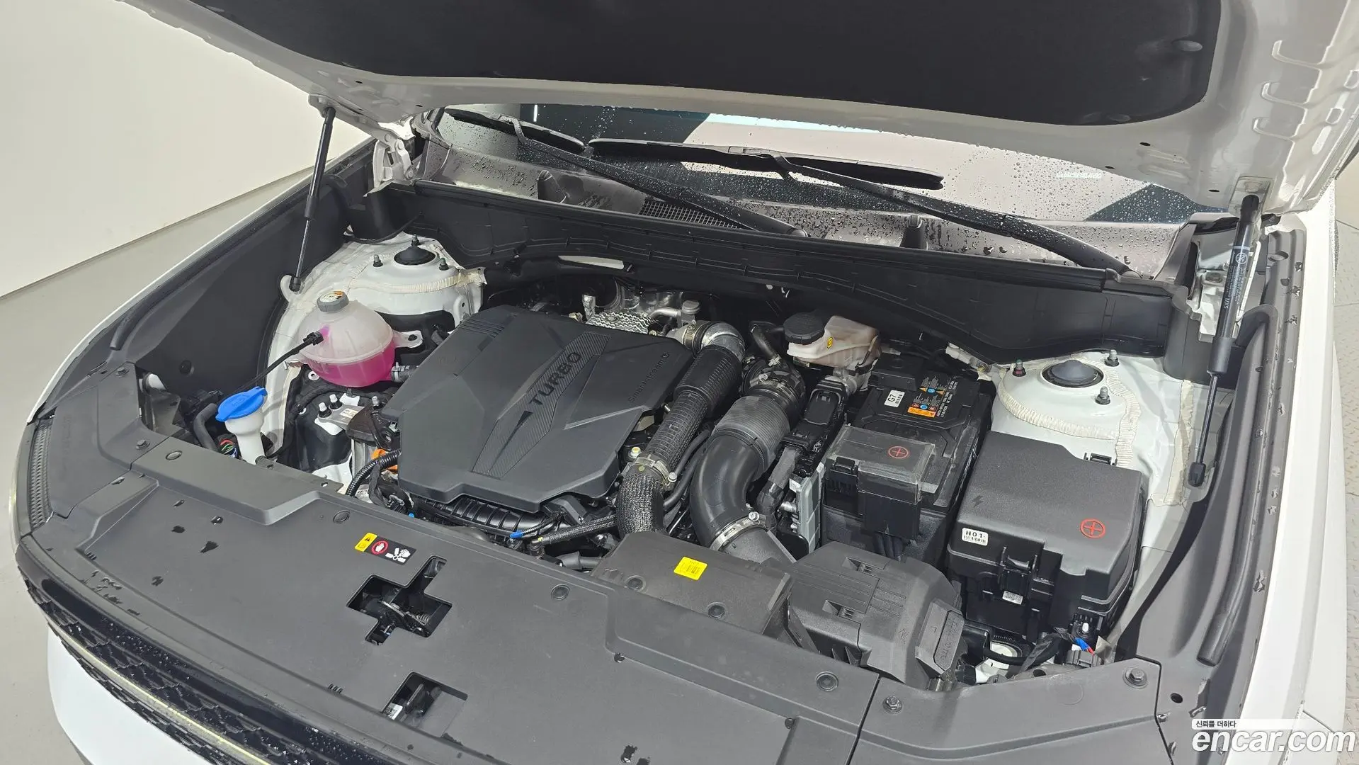 Hyundai Santafe Gasoline 2.5T 2WD 2023