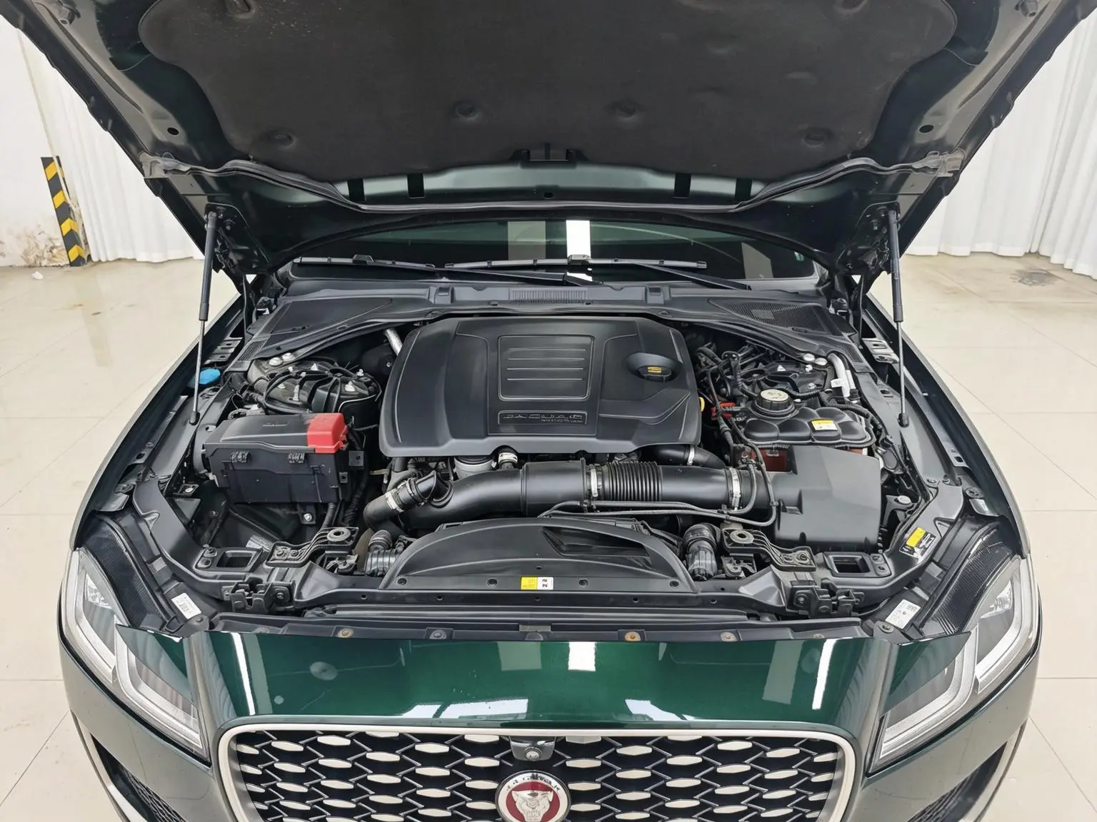 Jaguar XFL 2021 2.0T P200 2WD Elite Luxury