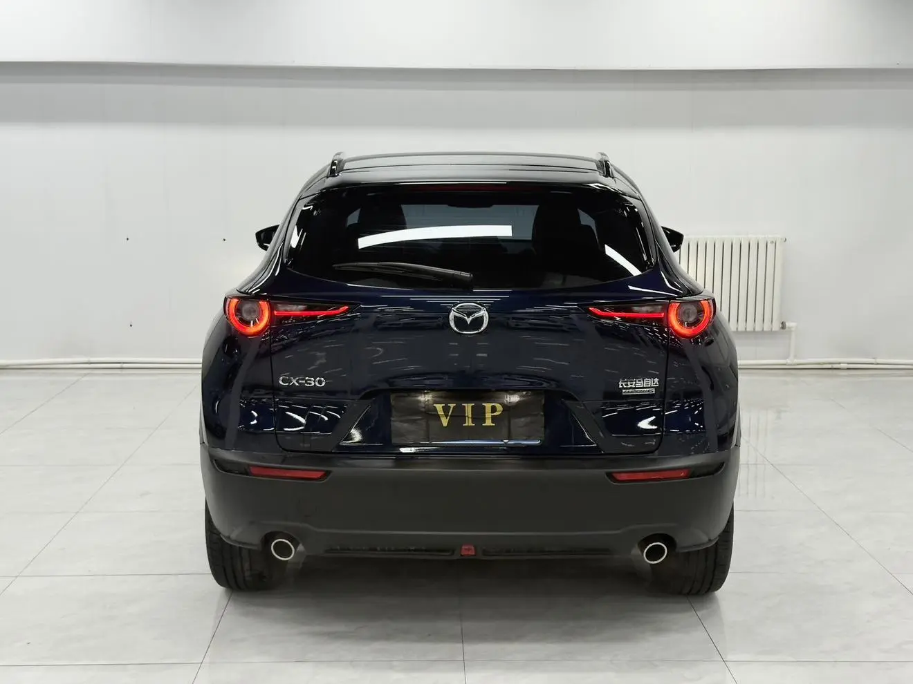 Mazda CX-30 2022 2.0L Auto Shine Delight