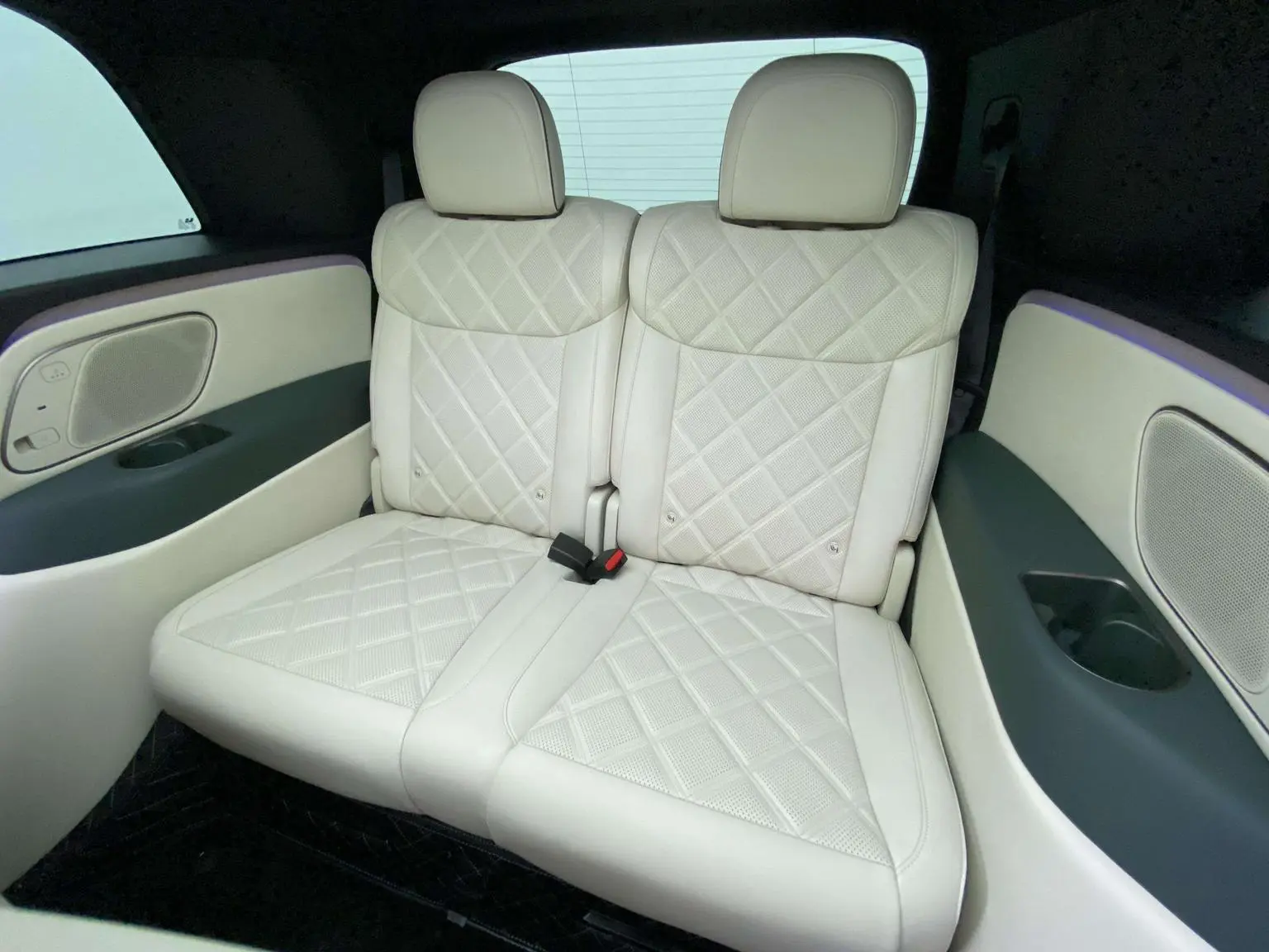 Li Auto L9 2026 Livis