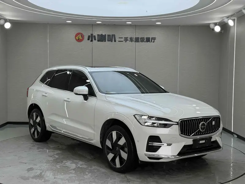 Volvo XC60 PHEV 2024 T8 four-wheel drive long range Zhiyuan luxury version