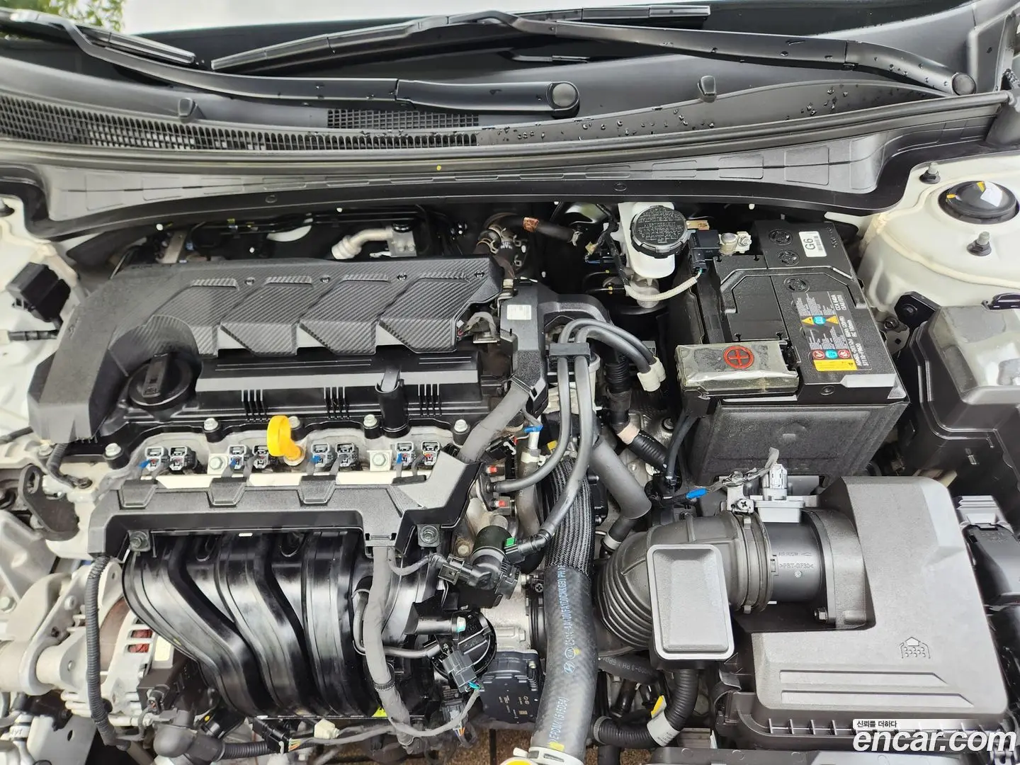 Hyundai AVANTE 1.6 2020