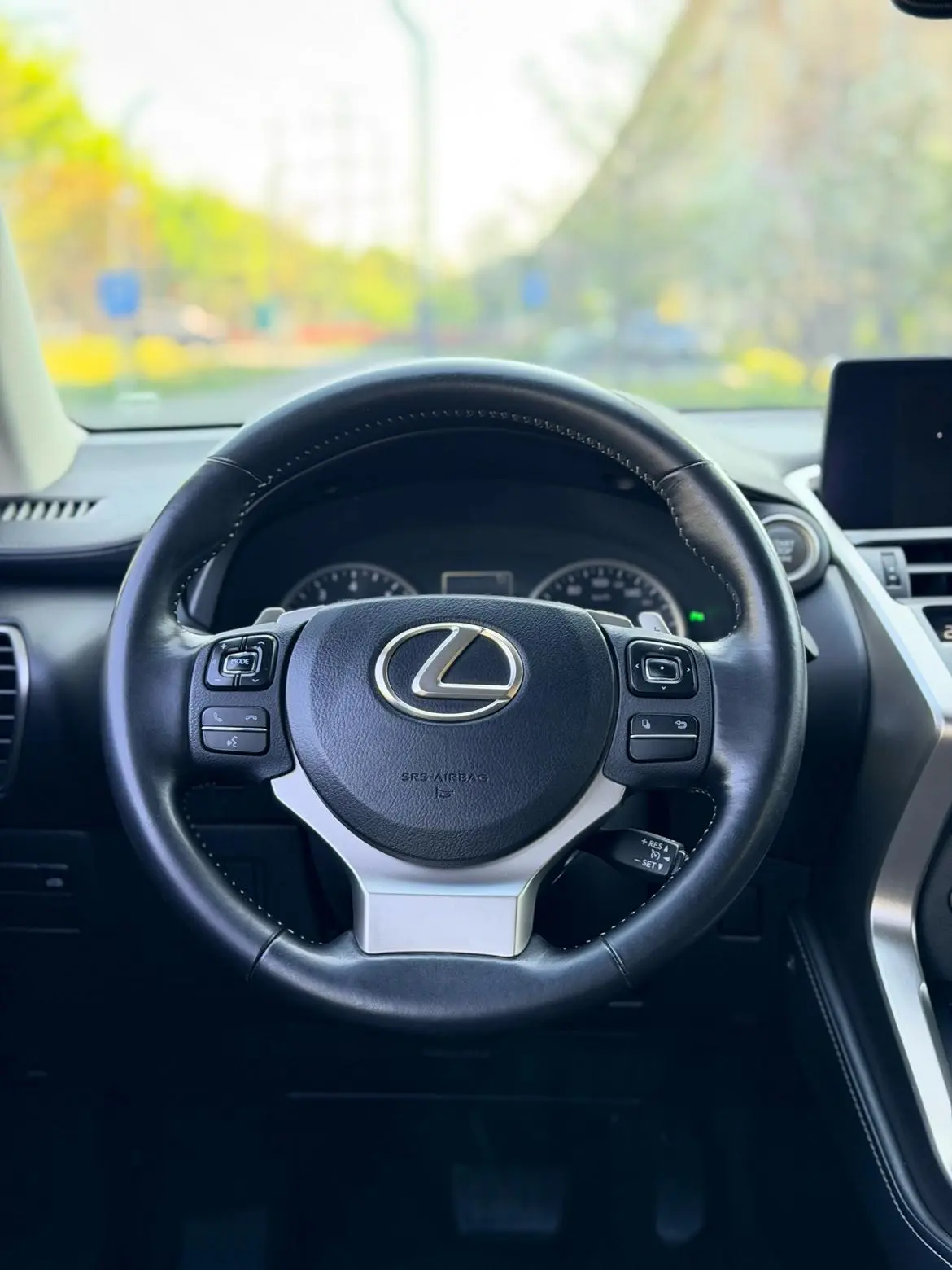 Lexus NX 2018 300 FWD China V
